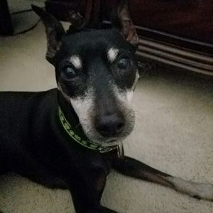 Meet your Posher, Jayme